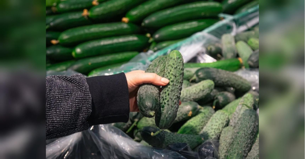 За тиждень на десяту частину: в Україні подорожчав “сезонний” овоч