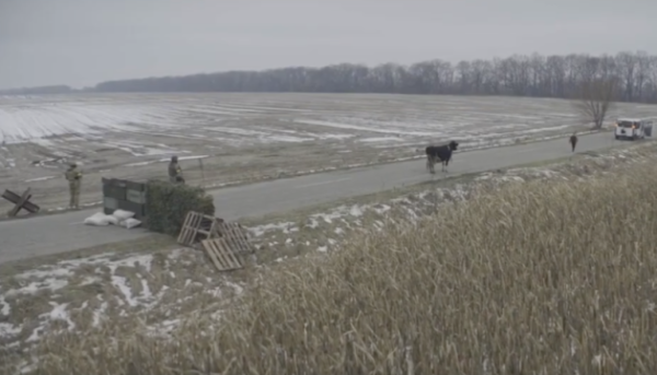 Стрічка “Війна очима тварин” із Шоном Пенном з’явиться в кінотеатрах Північної Америки.