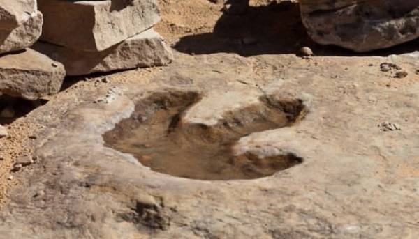 Димове пальне, “Shazam” юрського періоду та український ШІ-боєць,…