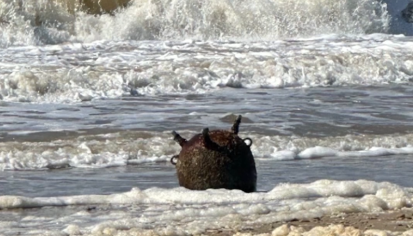 Внаслідок війни Україна позбулася більш як 272 тисячі гектарів морських заповідних територій.