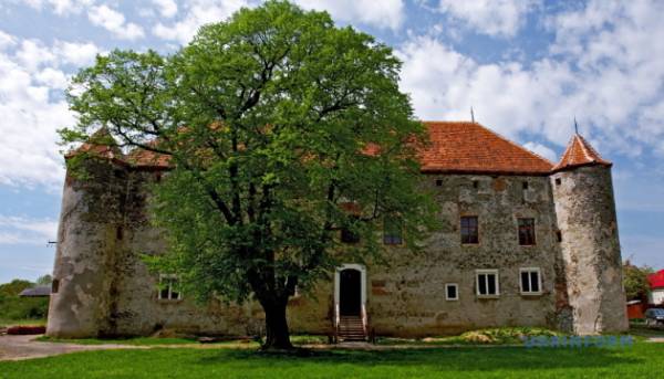 Шість закарпатських фортець включено в реєстр нерухомої спадщини.