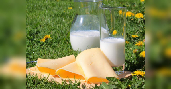 Молочка зросте в ціні до кінця березня: прогноз зміни вартості та причини.