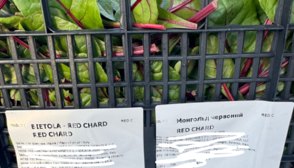 На прикордонні фітоінспектори знайшли загрозливого для рослин паразита.