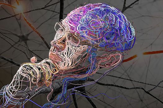 Горе з Інтернету. Чи робить нас дурніше використання всесвітньої павутини?