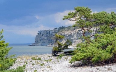 Швеція отримала застереження: РФ здатна захопити балтійський острів.