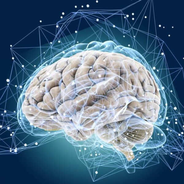 Як підвищити продуктивність мозку з комплексами від Stark Pharm