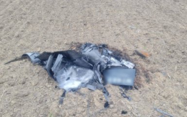Румунська влада виявила залишки російських дронів поблизу українського кордону.