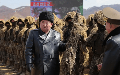 Знеструмлюючі бомби. Північна Корея заявила про тестування електромагнітної зброї.