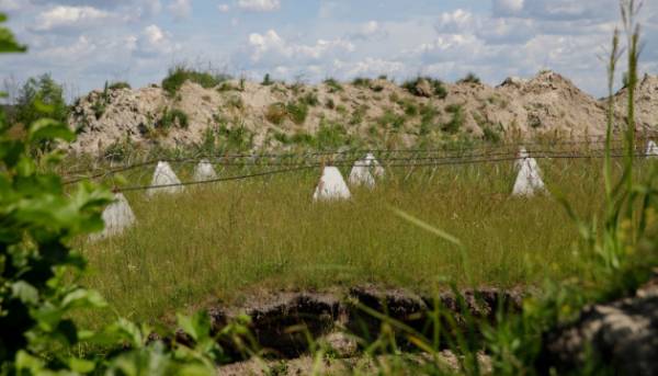 Чернігівщина: цілодобова готовність до можливих загроз з Білорусі