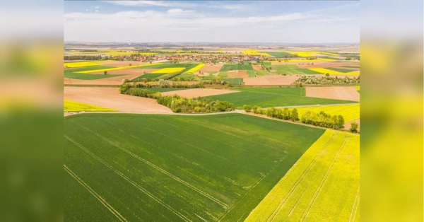 Немає підстав для збільшення вартості сільськогосподарських угідь: посередники створюють ажіотаж — ЗМІ
