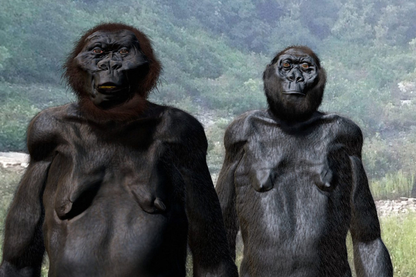 Пращурів людства вважали невисокими — сліди свідчать про зріст 181 см