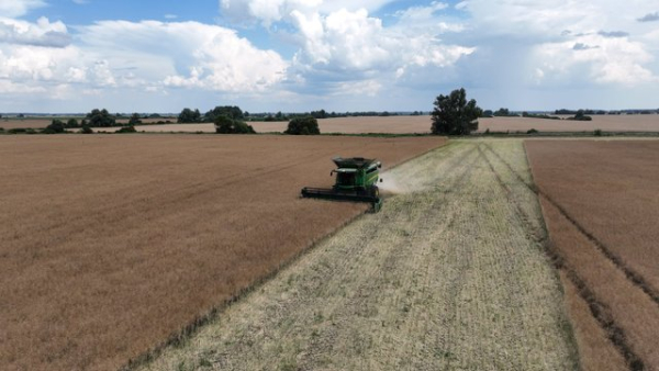 Аграрний сектор збільшив оплату праці на 10-20%, але брак працівників стає гострішим, – Agrohub