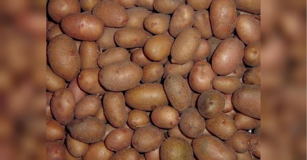 Улюблений продукт українців став дешевшим на 15% за тиждень, але є і недолік.