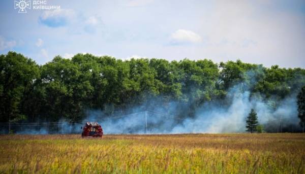 У Чорнобильській зоні гасіння лісової пожежі завершено