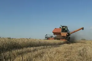 Україна шукає нові маршрути для зерна через блокування портів Росією — Reuters