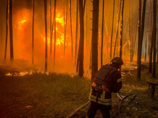 Іспанія евакуювала майже 500 людей через лісові пожежі