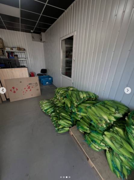 Кукурудза, яку фермери відправляли покупцям поштою