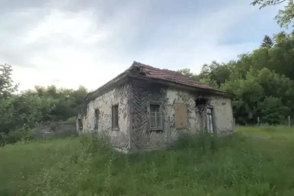 Косулі гуляють пусткою: блогер показав занедбане українське село