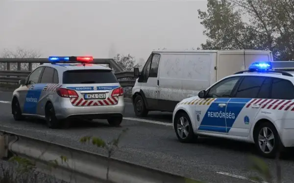 Автобус із Польщі перекинувся в Угорщині: 12 загиблих, 10 поранених