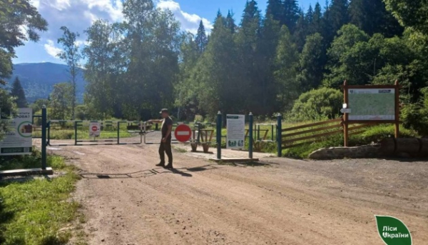 У Карпатах через високу температуру повітря посилюють захист лісів