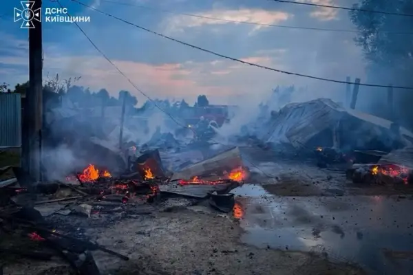 Пожежа в притулку «Сіріус»: загинули десятки собак