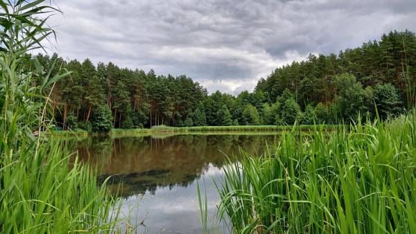 Купання у водоймах: небезпечні наслідки для здоров’я, які приховують річки та озера