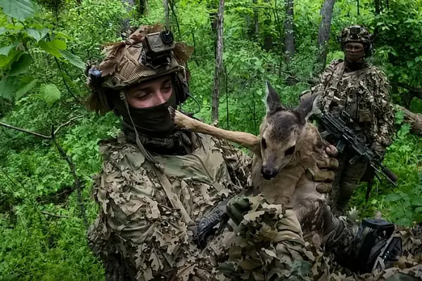 ССО взяли в полон трьох росіян та врятували оленя