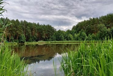 Чим загрожує купання в річці чи озері: вчені розкрили несподівані наслідки для здоров'я