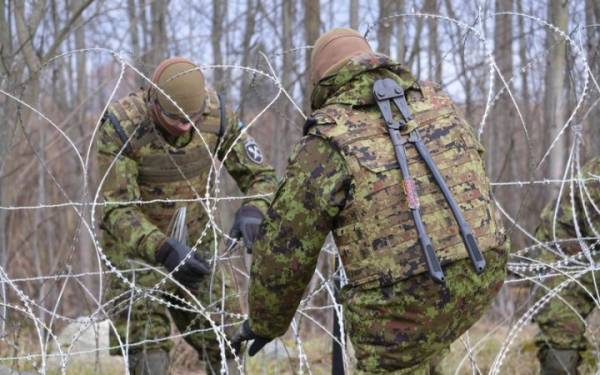 Естонія посилила кордон з Росією новими укріпленнями