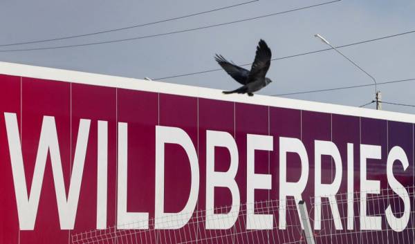 Cклад Wildberries в селі Коледіно, Московська область РФ, 15 березня 2023 року.
