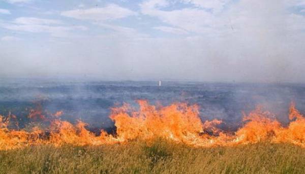 4,3 тисячі гектарів заповідного степу «Асканії-Нової» знищено вогнем