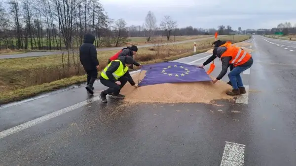 Поляки бояться конкуренції з Україною на сільськогосподарському ринку. Українське зерно, яке польські фермери висипали з вантажівок на дорозі перед пунктом пропуску Дорогуськ — Ягодин, 11 лютого 2024 р. 