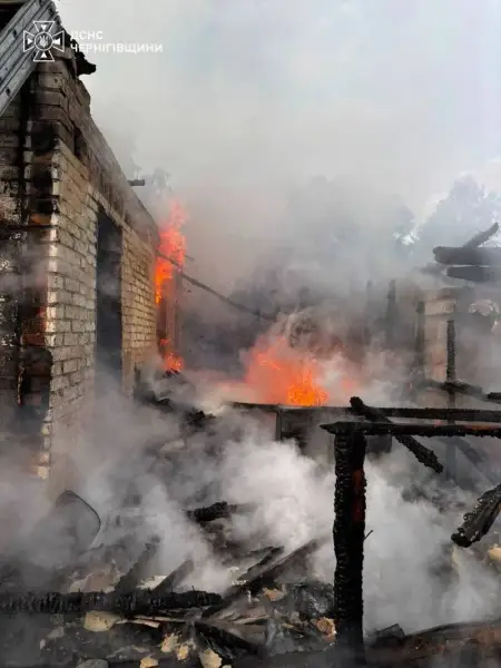 Наслідки обстрілів росіянами Чернігівської області