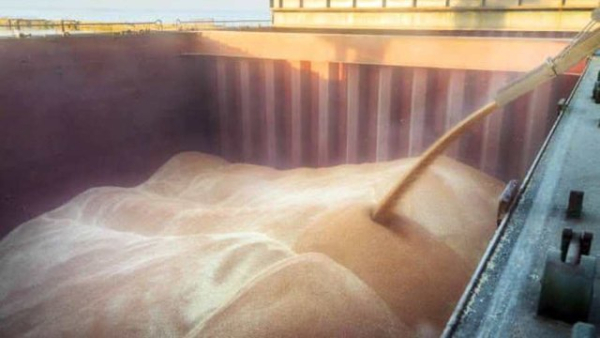 Уряд змінив найнижчі дозволені ціни на вивезення певних сільськогосподарських товарів