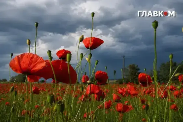Штормове попередження: негода накриє низку областей 8 серпня