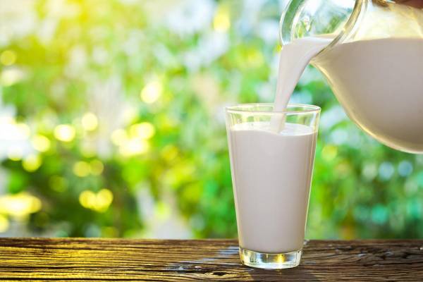 8 продуктів, що перевершили молоко за вмістом кальцію