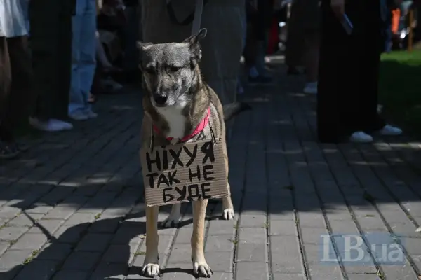 <i>Пес на</i> мітингу проти відставки Федорова.&amp;nbsp;<i>Феномен українського майдану ми помалу нівелюємо. Хоча механізм протесту залишається незамінним через тимчасову відсутність виборів.&amp;nbsp;</i>&amp;nbsp;