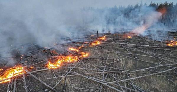 Лісові пожежі охопили два лісництва на Харківщині