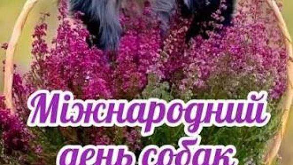 Міжнародний день собак: святкуємо чотирилапих друзів