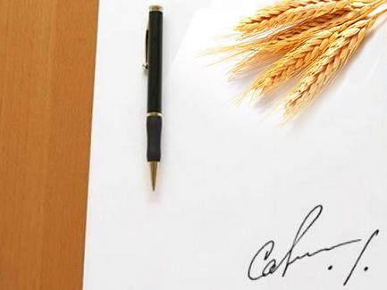 Податкові нюанси закупівлі сільгосппродукції у фізосіб: роз’яснення