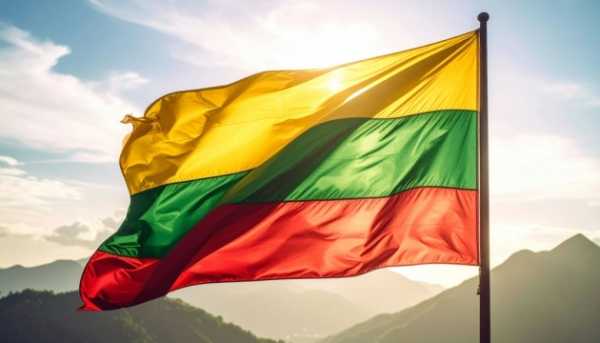 Литва закрила небо через зграю птахів, яку сплутали з дроном