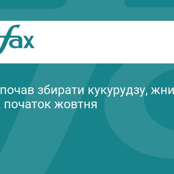 Нібулон” розпочав збір кукурудзи, жнива сорго заплановано на початок жовтня