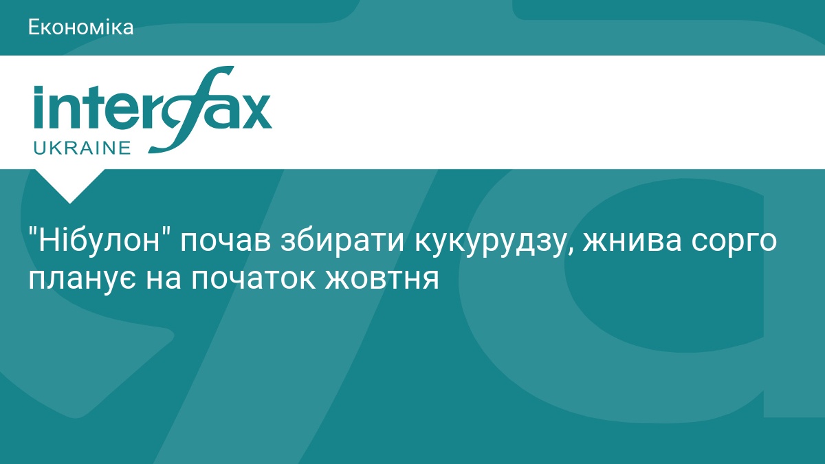 Фото до статті