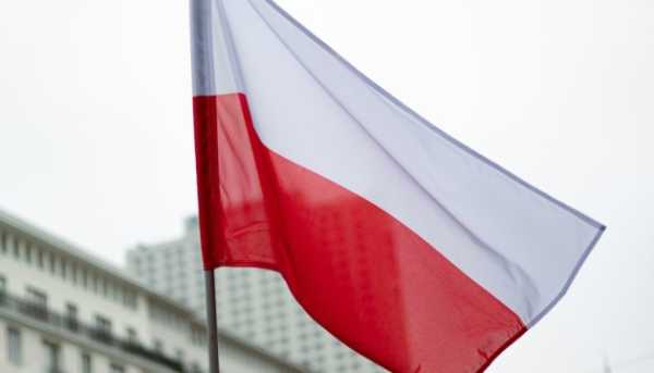 Польща піднімала гелікоптер через пташину зграю на кордоні з Білоруссю