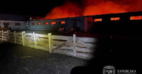 Ворог знищив ферму та підприємство на Харківщині