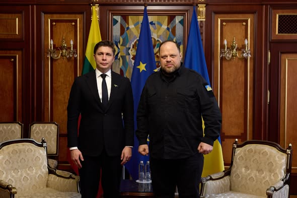 Стефанчук: Україна поділиться оборонним досвідом з Литвою