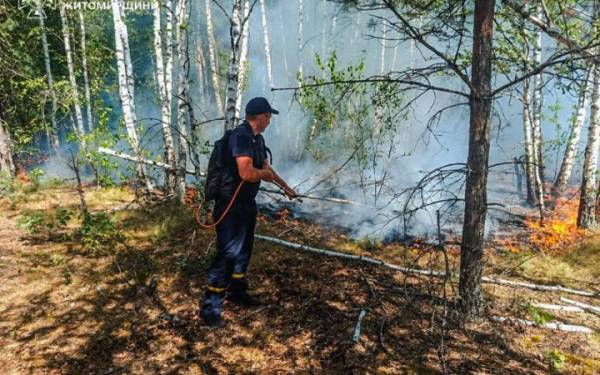 ​На Житомирщині ліквідували пожежу в заповіднику, яка тривала більше тижня 