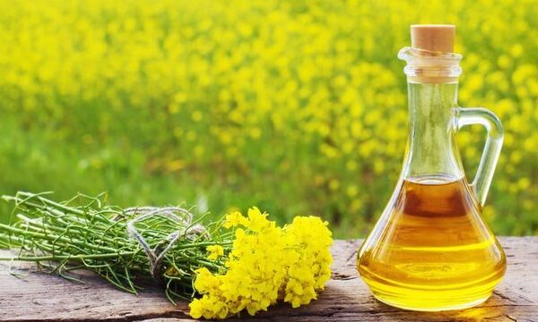 Соняшник подорожчав по всій Україні, ріпак та соя – лише на заході