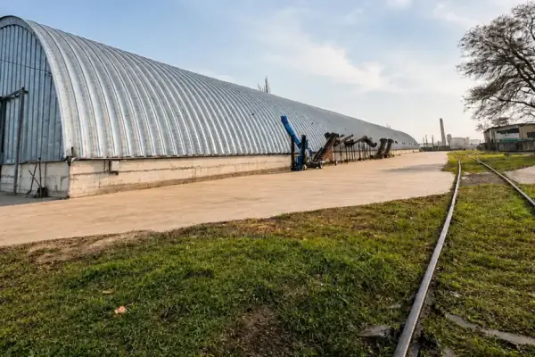 Ізмаїльський зерновий термінал продають на тлі логістичних викликів