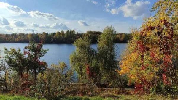Дощі з грозами та до +30°: прогноз погоди на сьогодні